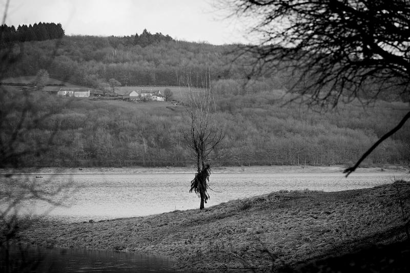 2019_02_09_Lac de Panneciere (0053).jpg - Lac de Pannecière (Février 2019)